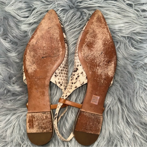Coach snakeskin sling back point toe flats - Picture 4 of 7